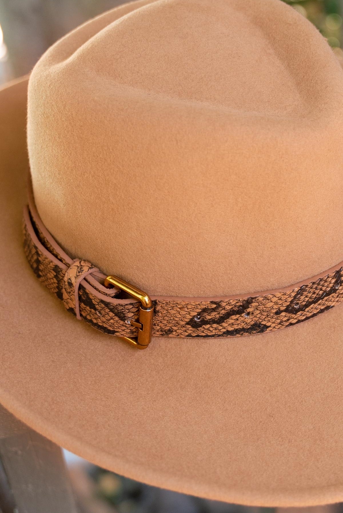 Wide Brim Snake Print Belt Wool Fedora Hat - POL - RARA Boutique
