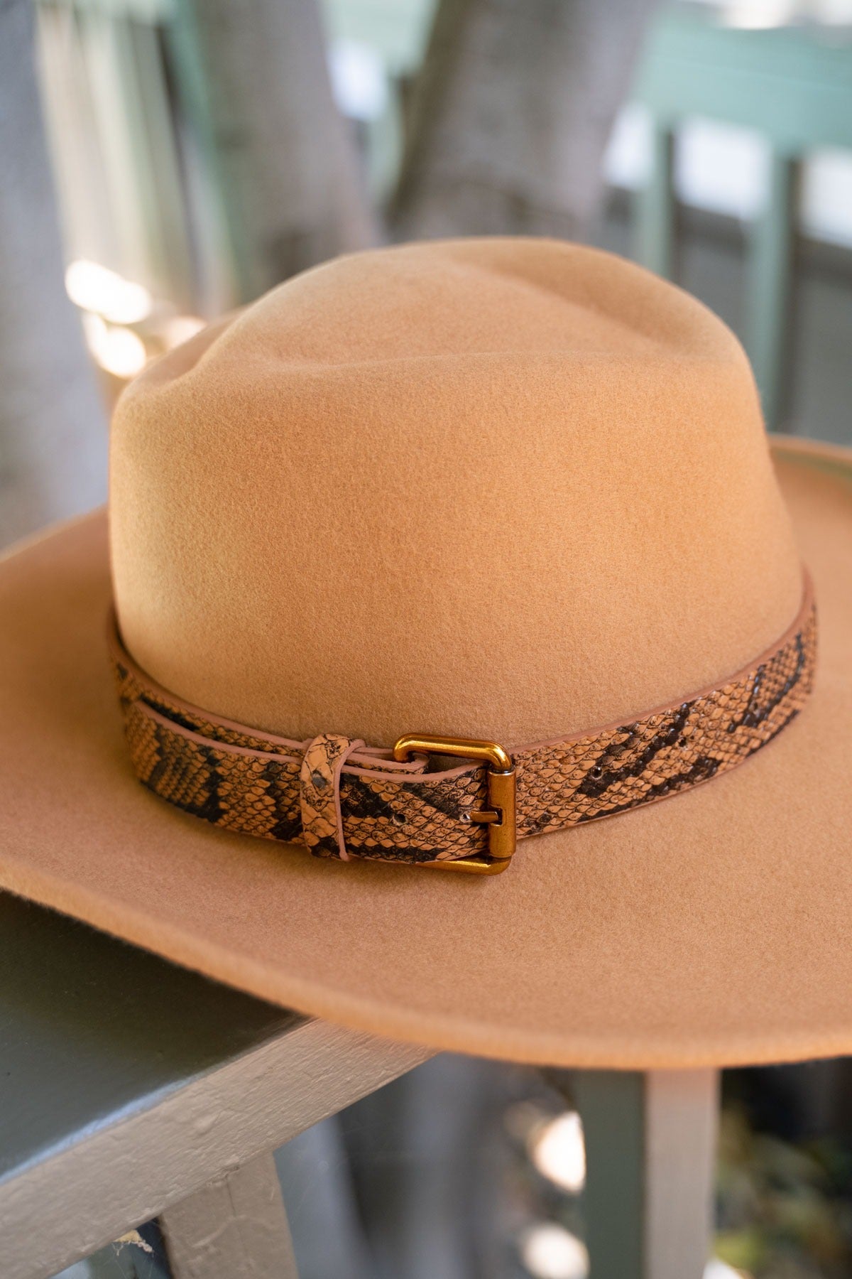 Wide Brim Snake Print Belt Wool Fedora Hat - POL - RARA Boutique