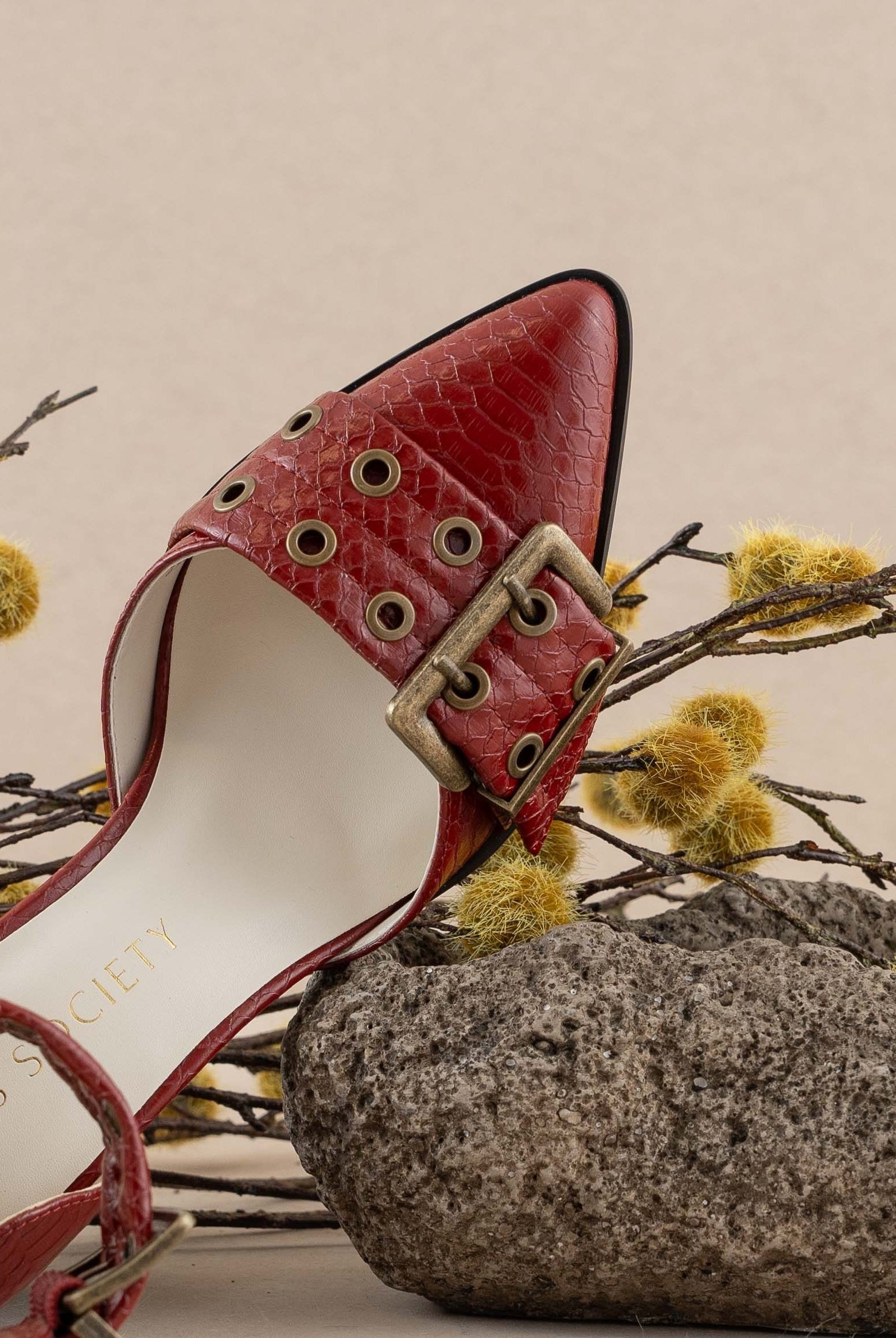 Croc-embossed Double Buckle Pointed Toe Heels - Oasis Society - RARA Boutique