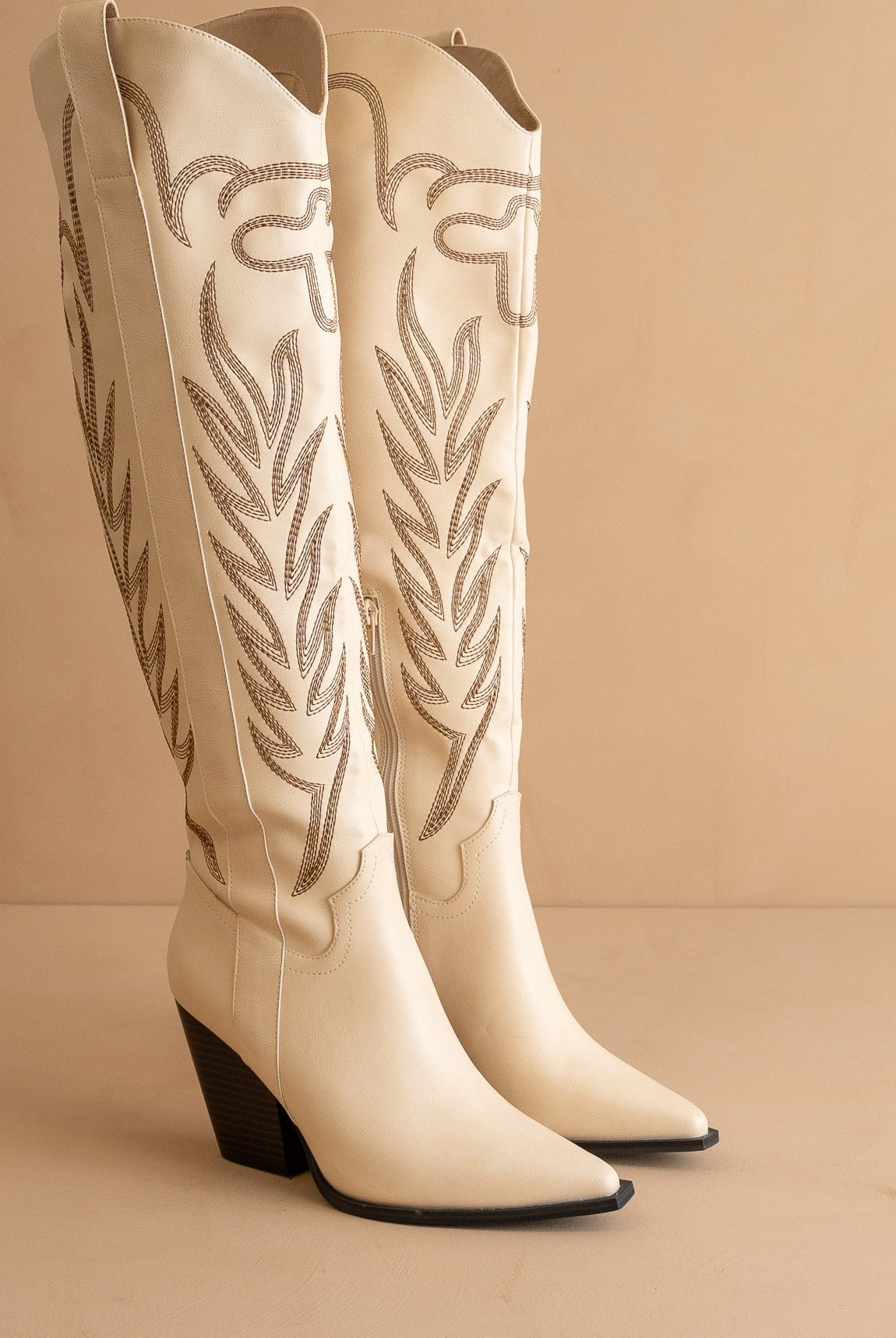 Tall Knee High Western Embroidered Pointed Toe Boots - Oasis Society - RARA Boutique
