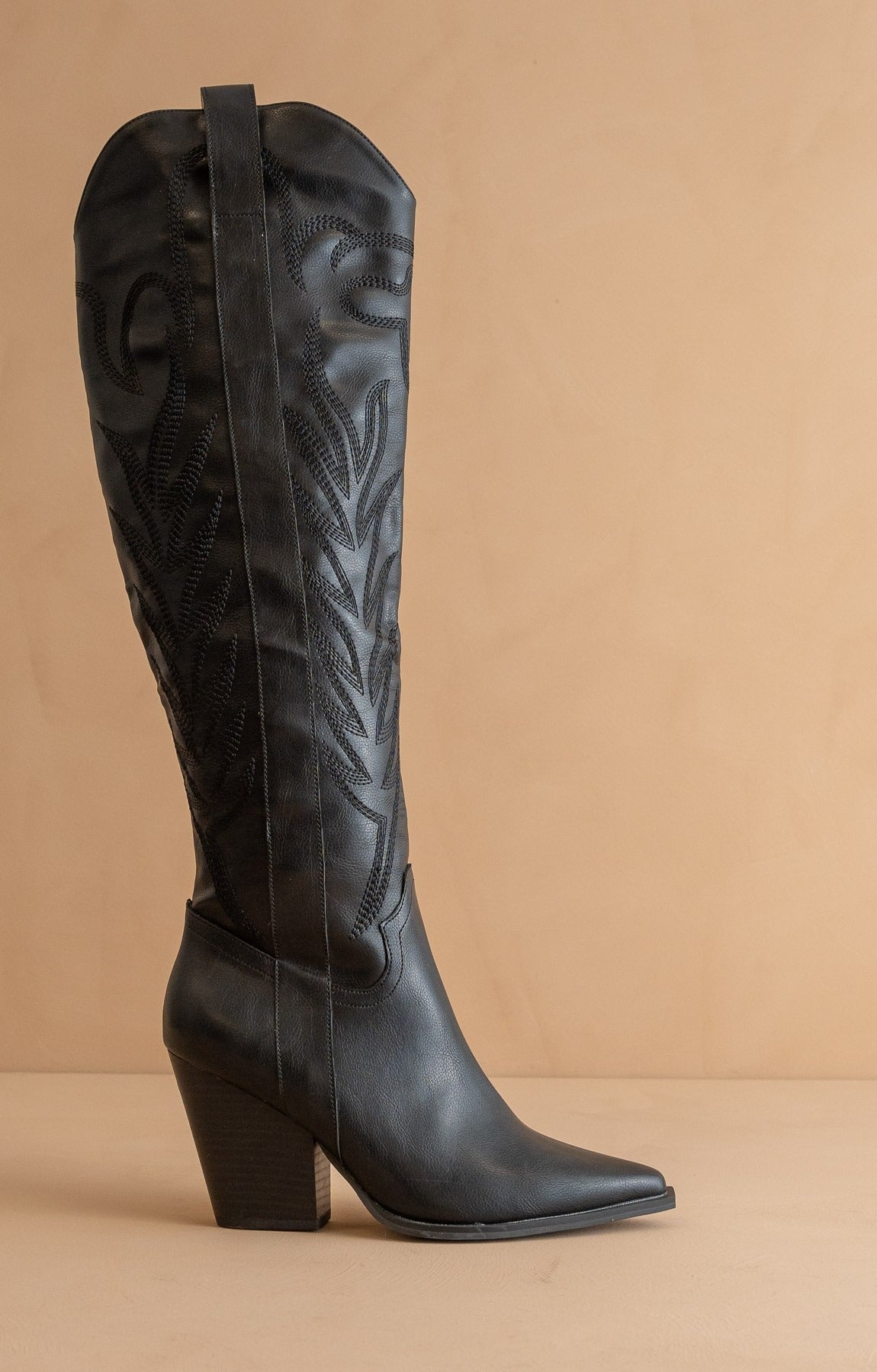 Tall Knee High Western Embroidered Pointed Toe Boots - Oasis Society - RARA Boutique