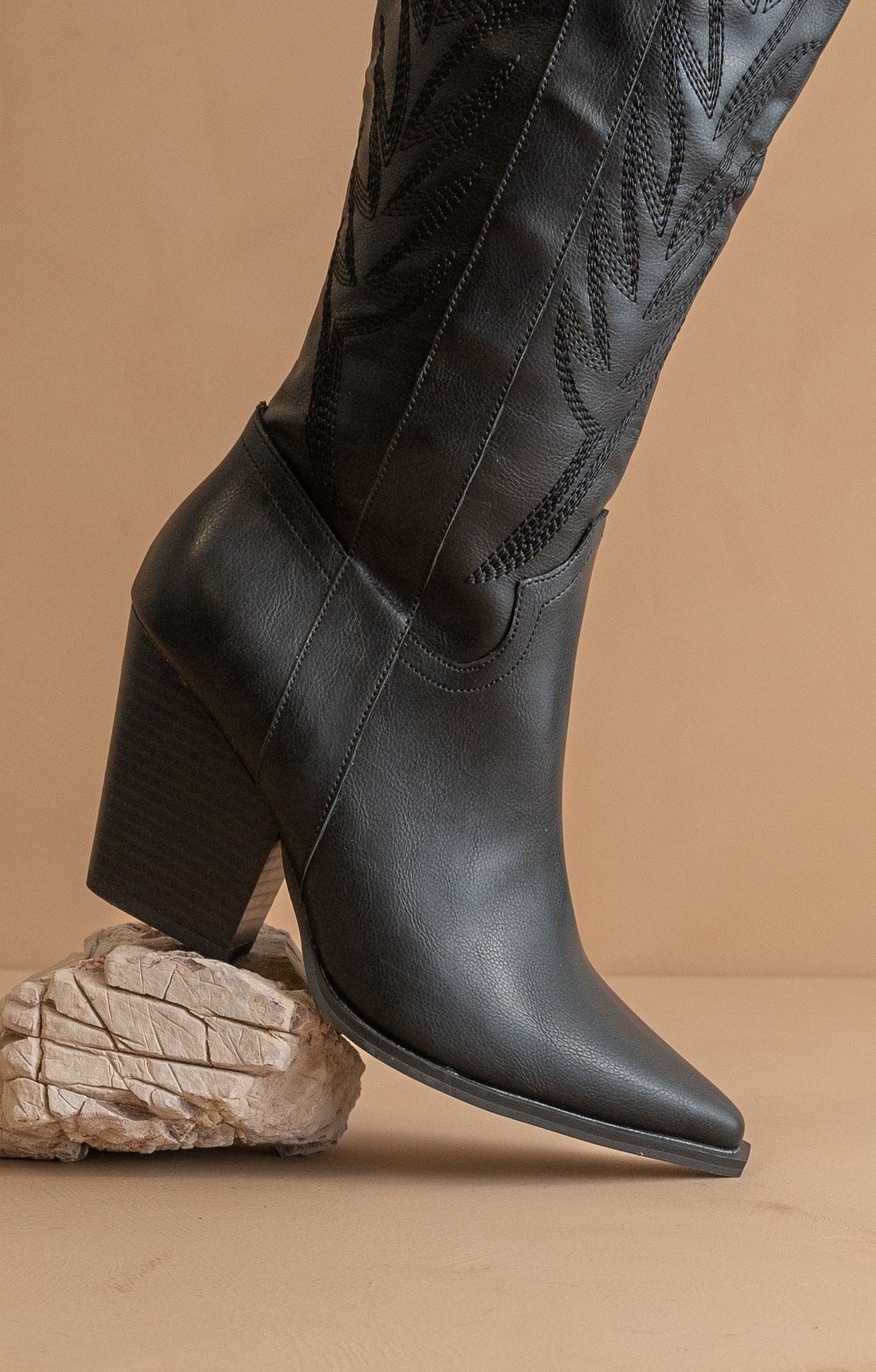 Tall Knee High Western Embroidered Pointed Toe Boots - Oasis Society - RARA Boutique