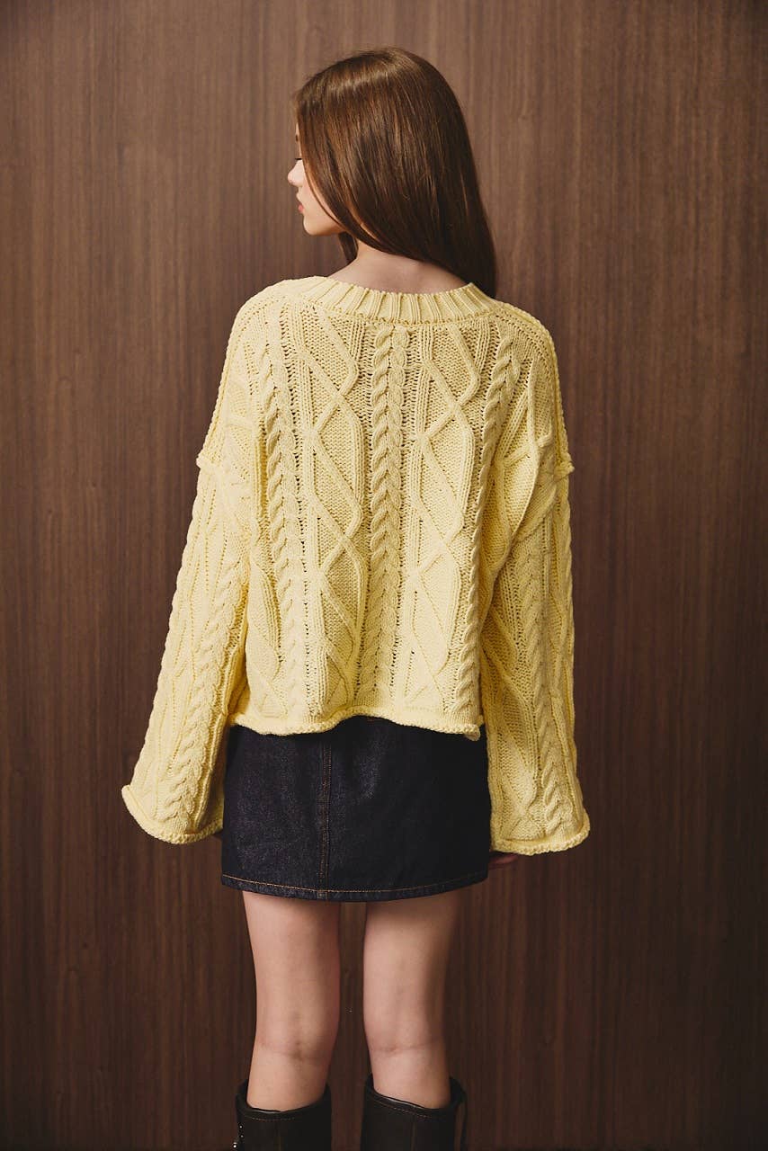 Le Lis oversized cropped cable knit sweater in chunky knit with textured cable patterns, relaxed fit, and long sleeves.