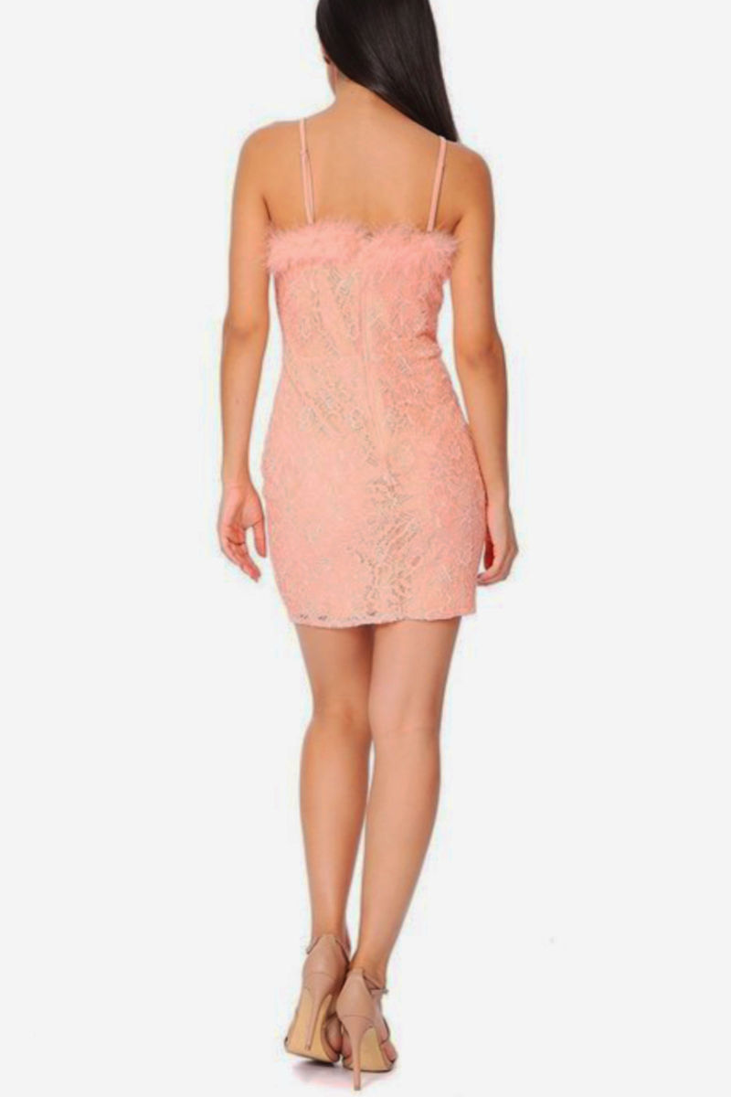 Feather Trim Cocktail Dress with Floral Lace - Rara Boutique