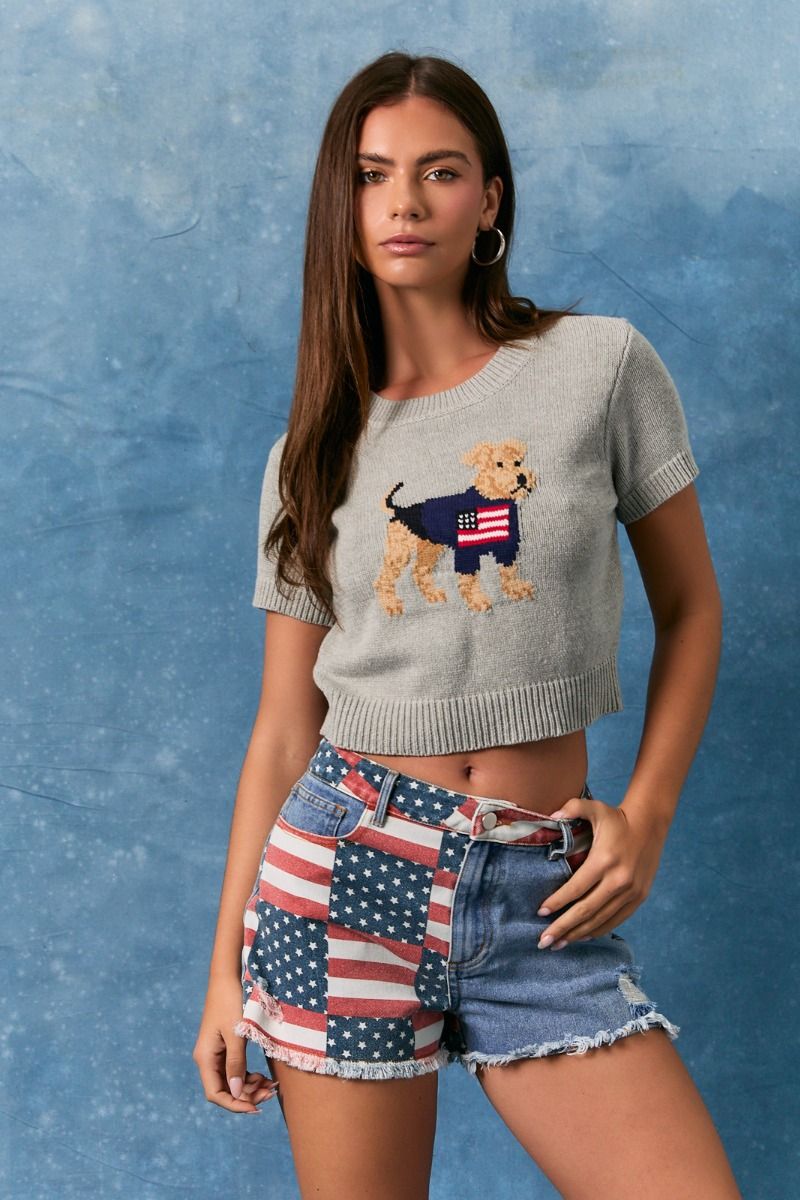 Gray cropped sweater top by RARA Boutique featuring a bold American flag dog graphic on the front.