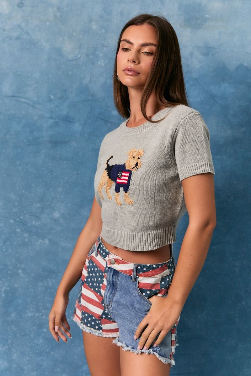 Grey cropped sweater for dog lovers featuring American flag graphic, short sleeves, from Le Lis by RARA Boutique.