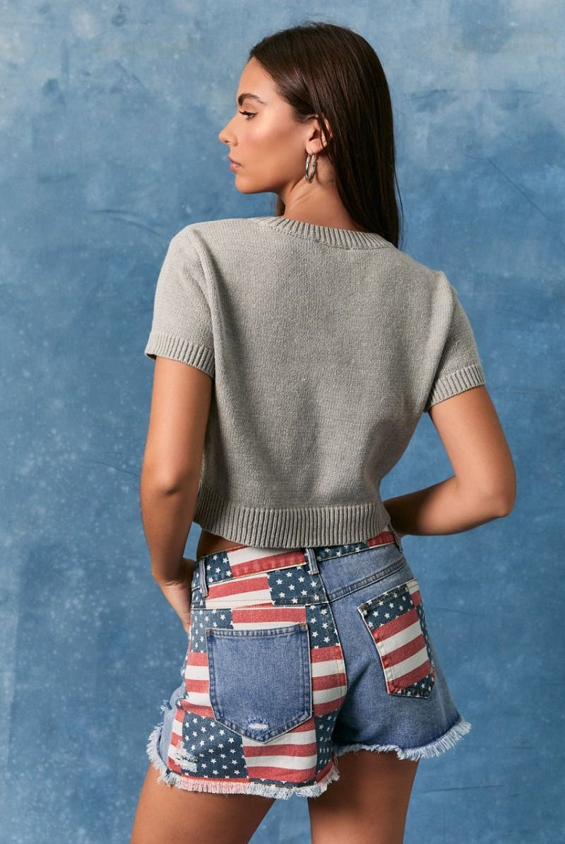 Grey cropped sweater top by RARA Boutique featuring American flag dog graphic and short sleeves.