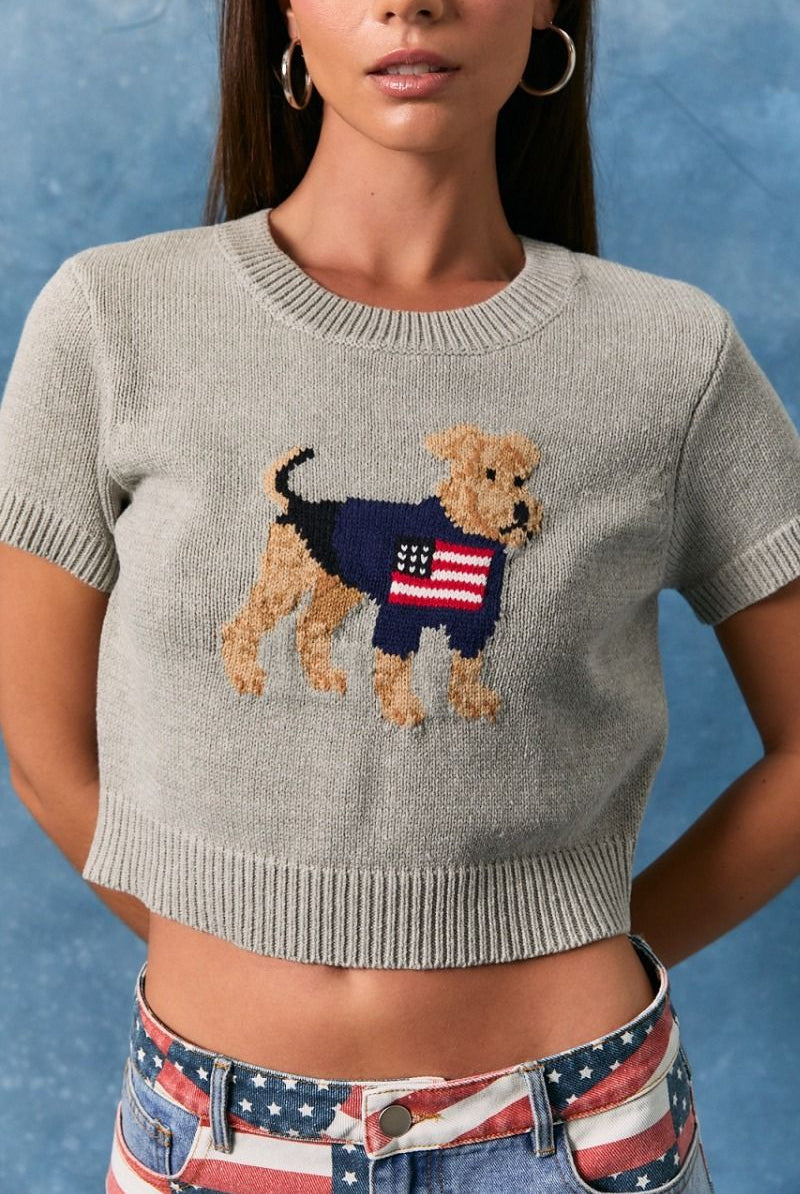 RARA Boutique American flag dog graphic cropped sweater top in grey, short-sleeve, stylish and casual for dog lovers.