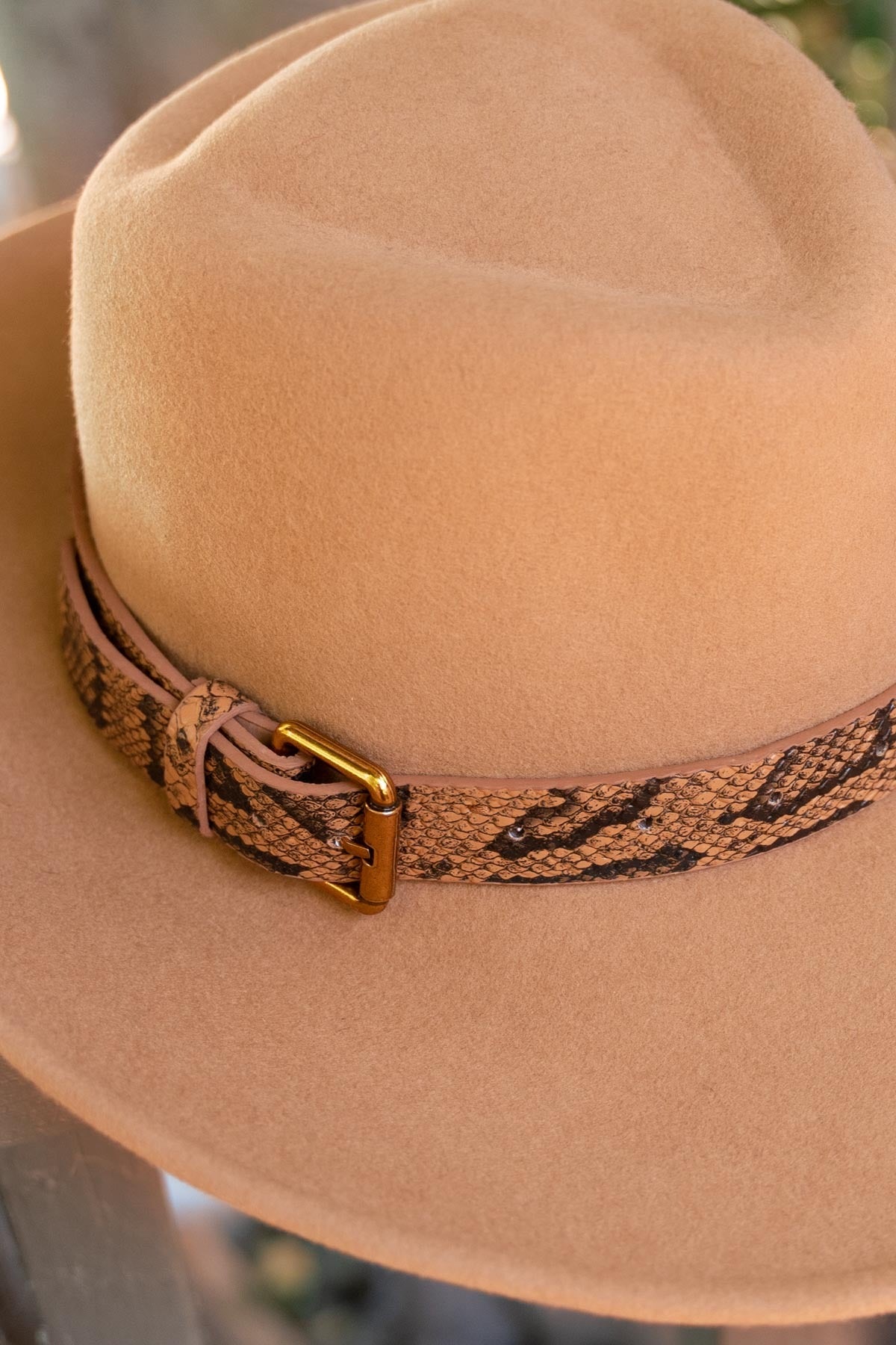 Wide Brim Snake Print Belt Wool Fedora Hat - POL - RARA Boutique 