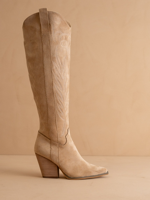Tall Knee High Western Embroidered Pointed Toe Boots - Oasis Society - RARA Boutique 