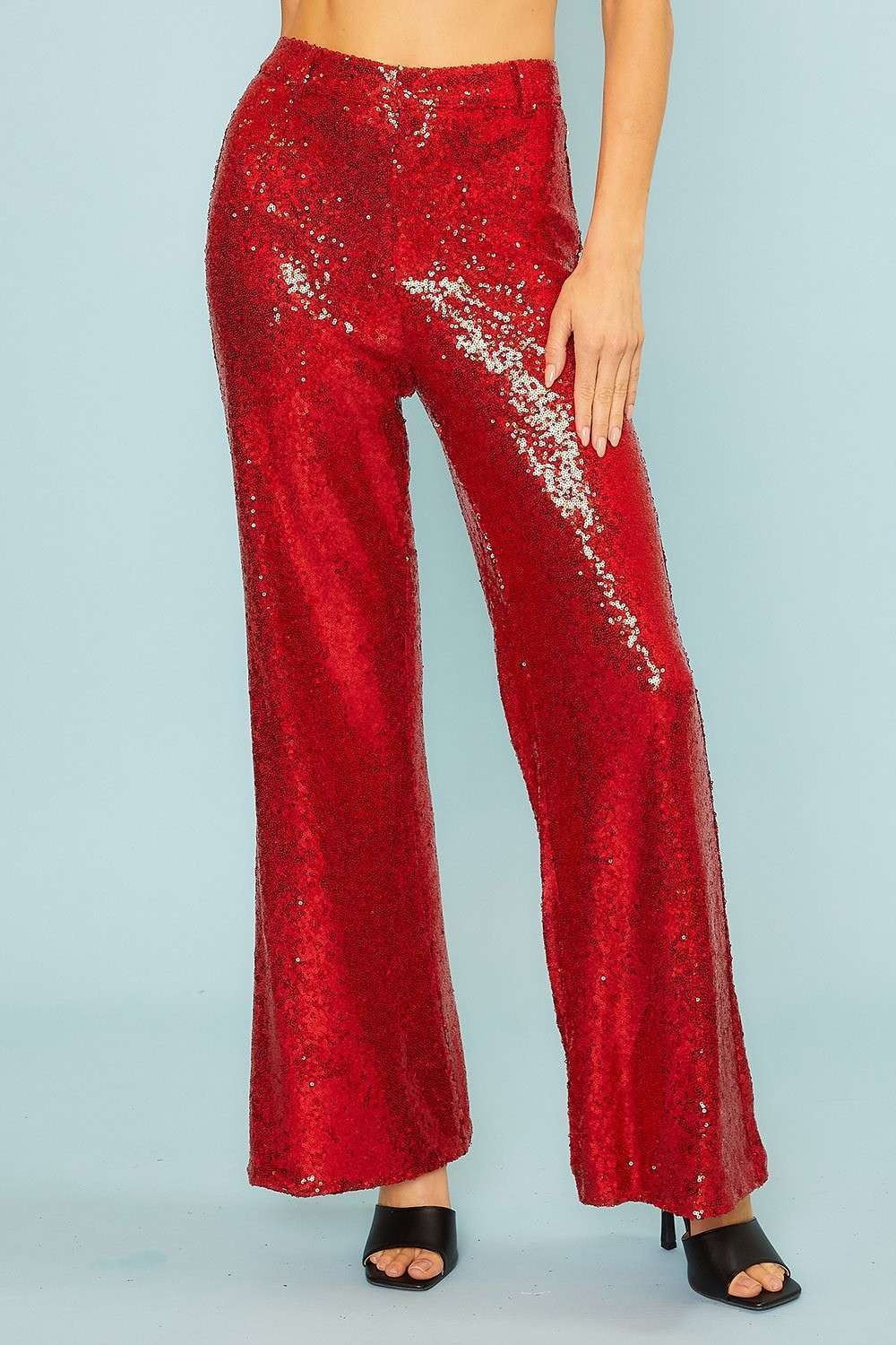 Front Zipper Back Sequin Wide Fit Pants - RARA Boutique 