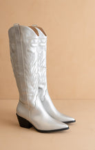 Knee High Metallic boots- Oasis - RARA Boutique 