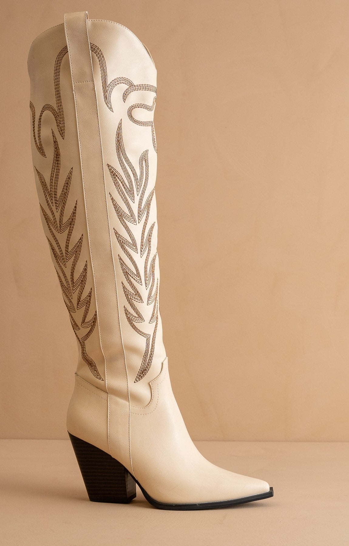 Tall Knee High Western Embroidered Pointed Toe Boots - Oasis Society - RARA Boutique 