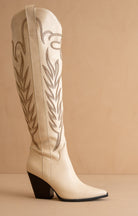 Tall Knee High Western Embroidered Pointed Toe Boots - Oasis Society - RARA Boutique 