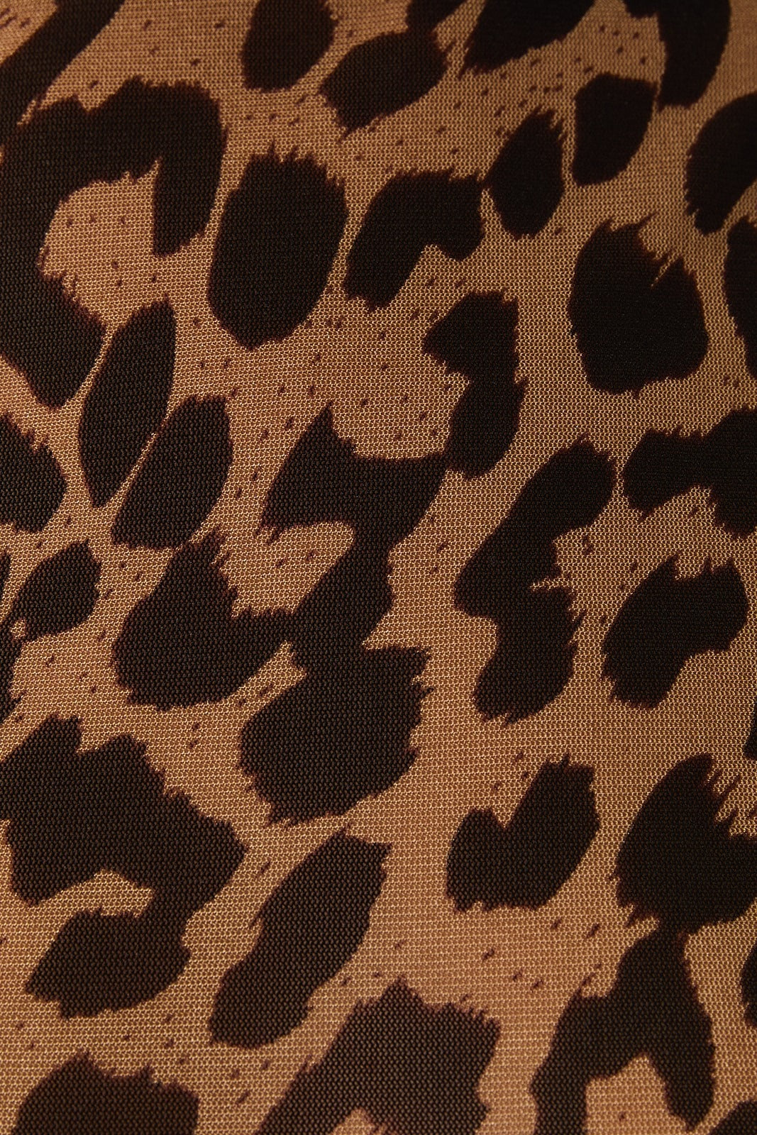 Mock Neck Sleeveless Leopard Print Mesh Top - Sunday Edition - RARA Boutique 