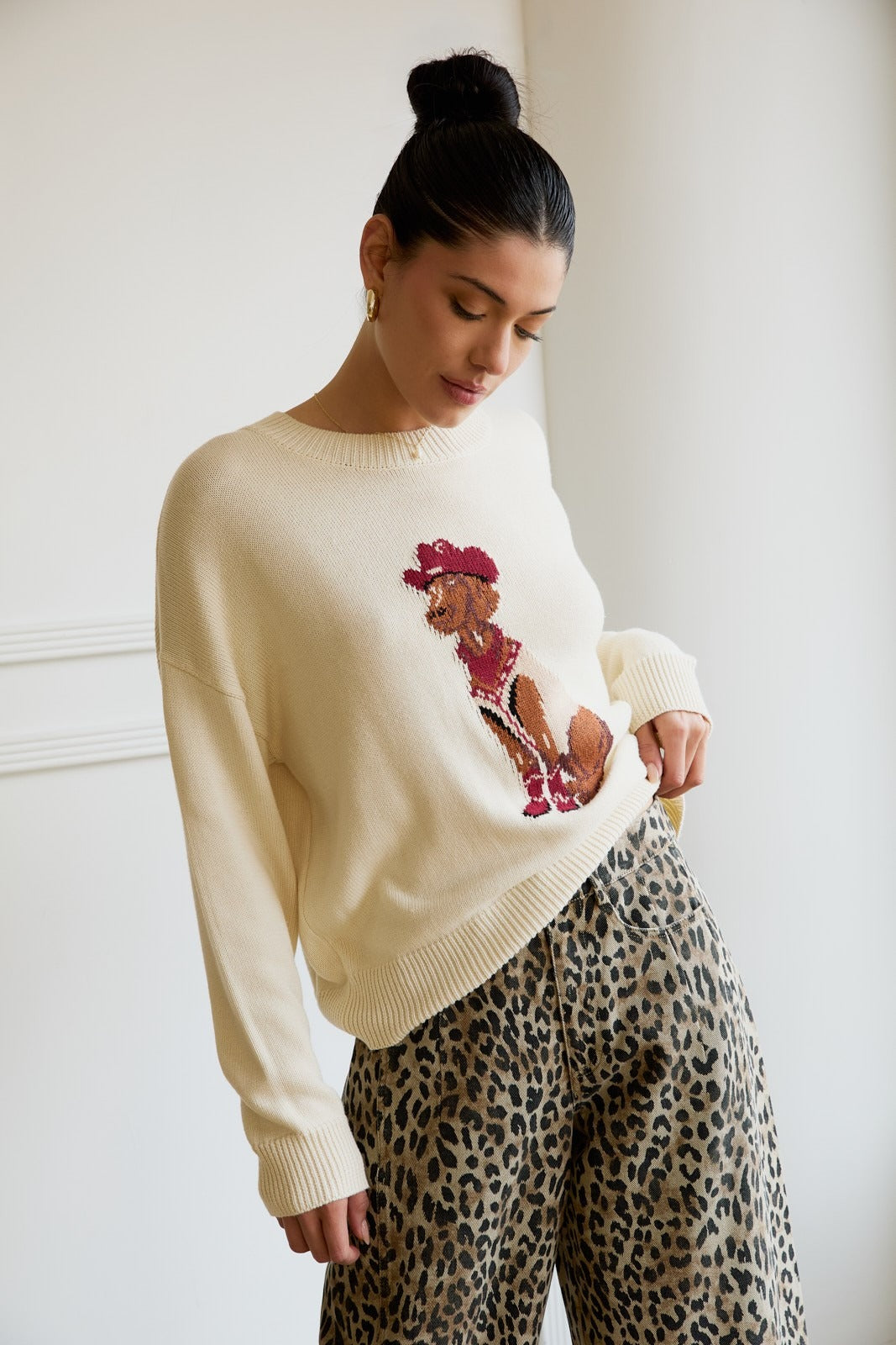 Western Cowboy Dog Print Knit Sweater - Sunday Edition - RARA Boutique 