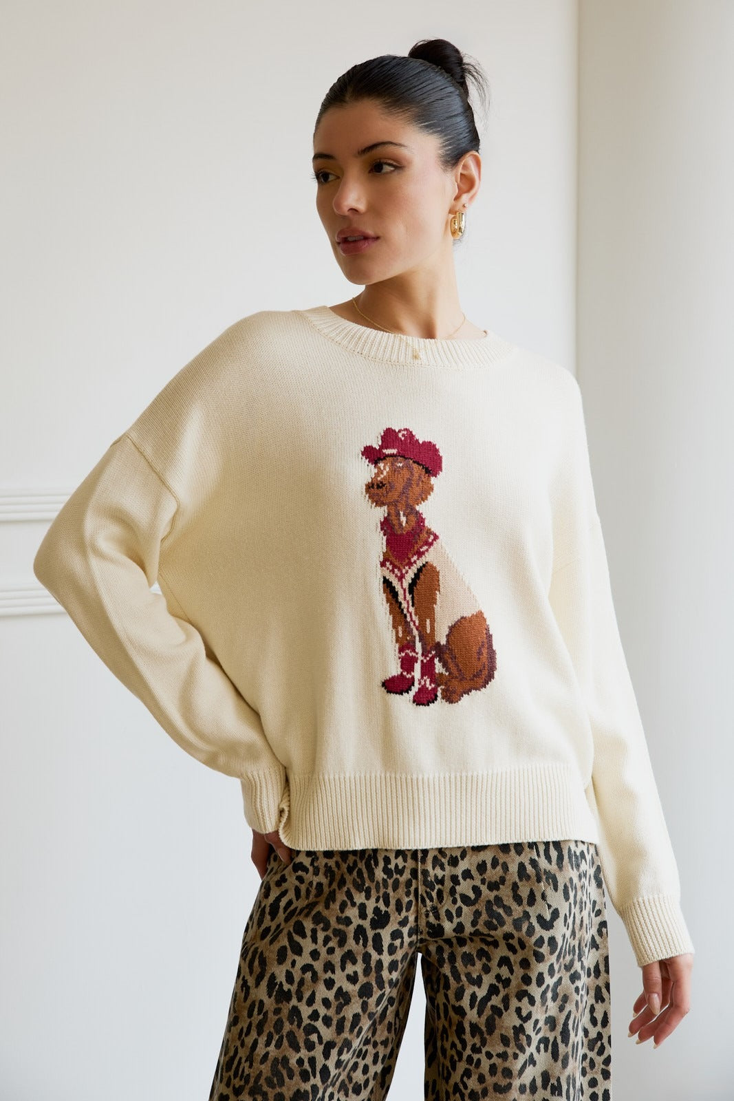 Western Cowboy Dog Print Knit Sweater - Sunday Edition - RARA Boutique 