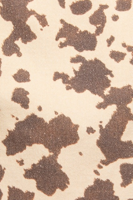 Cow Print Boat Neck Sleeveless Drop Waist Denim Mini Dress - Le Lis - RARA Boutique 