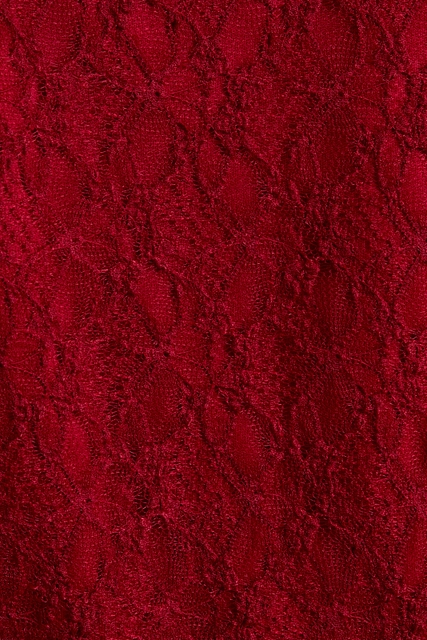 Ruffle Detail Lace V-Neck Top with Bell Sleeves - Le Lis - RARA Boutique 