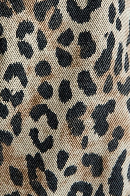 High Waist Leopard Print Barrel Jeans with Elastic Waist - Sunday Edition - RARA Boutique 