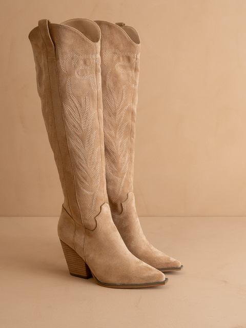Tall Knee High Western Embroidered Pointed Toe Boots - Oasis Society - RARA Boutique 