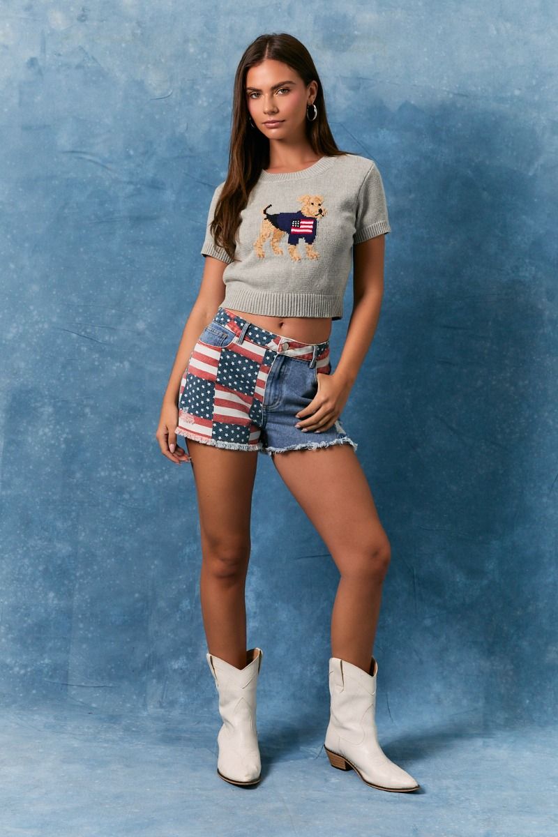 Grey cropped sweater top with American flag dog graphic, short-sleeve design, by Le Lis, styled for casual wear.